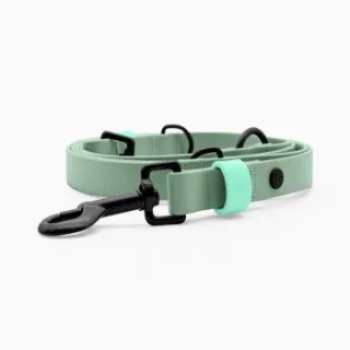 THE DOG IDEA Biothane Hundeleine Sage M