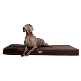 Tierlando HUGO BASIC Hundematratze braun 80 cm, 13 cm, 60 cm