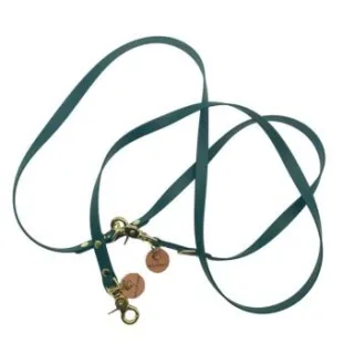 Wildfang Hundeleine "Waldgeflüster" aus U.S. Biothane und Lederbutton mit Wildfang Logo türkis 2,3 m, 1,6 cm