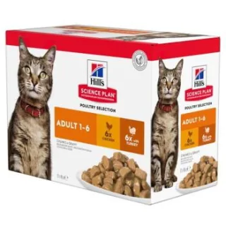 Hill's Science Plan Adult Truthahn und Huhn 24x85 g