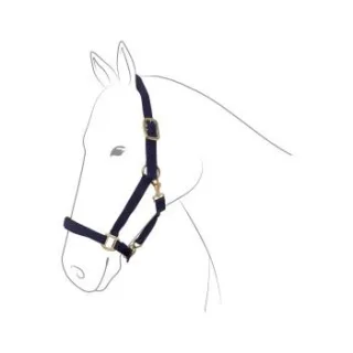 EQuest Halfter Dual Plus navy Pony
