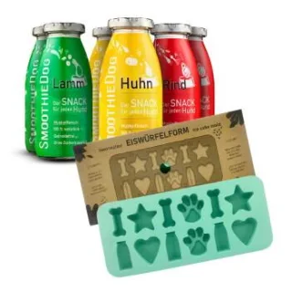SmoothieDog Klassik 6x 250 ml + Eiswürfelform