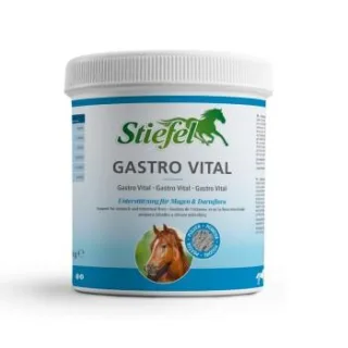 Stiefel Gastro Vital 1 kg