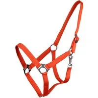 QHP Halfter mit Schiebeschnalle Orange - FULL