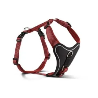 Wolters Professional Comfort Hundegeschirr rot XS