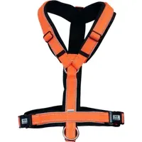 Sprenger Fohlengeschirr - orange