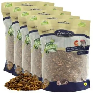 Lyra Pet Protein Boost Insekten Mix - mit Mehlwürmern, Shrimps & Grashüpfern 5 kg