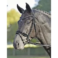 BUSSE Trense "LUXURY" - COB