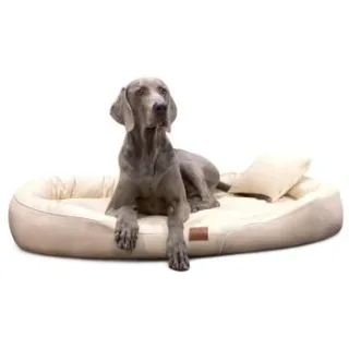Tierlando ® Orthopädisches Hundebett TIFFANY Easy-Clean | Große Hunde XXL creme 1,45 m, 20 cm, 1,05 m