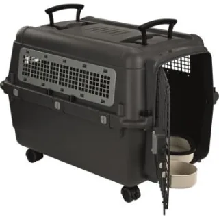 AniOne Transportbox M