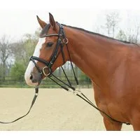 BUSSE Gogue BASIC - 1 Stk
