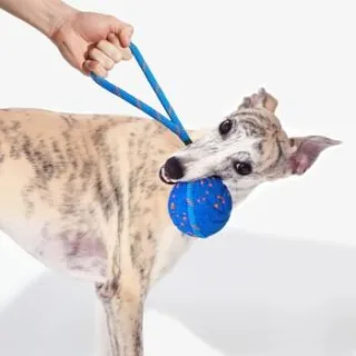 CHEERBLE WICKED BALL AIR ROPE-ROYAL BLUE