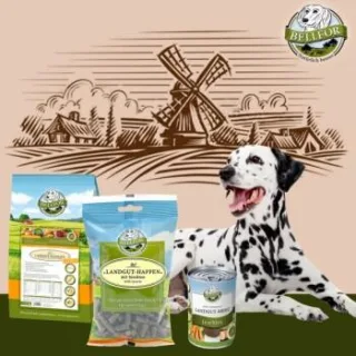 Bellfor Dalmatiner Futter Set