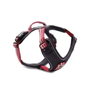 Wolters Active Pro Geschirr Geschirr Hundegeschirr rot/ silber XS