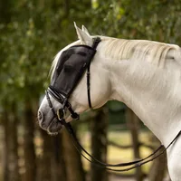 BUSSE Fliegenmaske RIDING, schwarz - COB