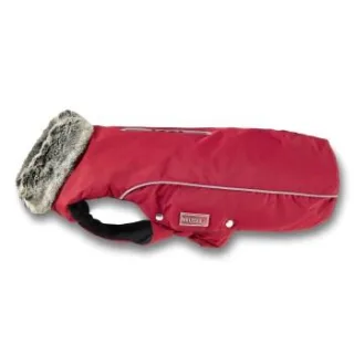 Wolters Winterjacke Amundsen Mops & Co. Jacke Hundejacke rot 38 cm