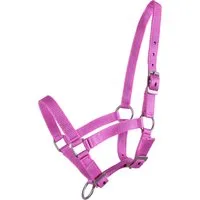 QHP Fohlen Halfter Rosa - Warmblut-Fohlen