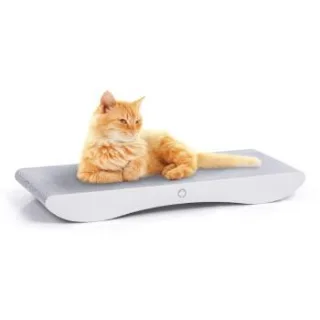 Canadian Cat Company Kratzbrett Comet XL weiß