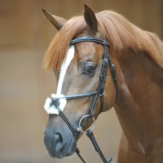 Variante