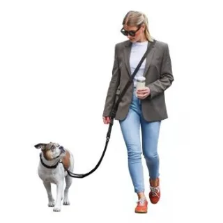 Freudentier UrbanFlow Umhängeleine, Hundeleine 3m schwarz