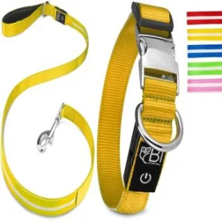Petsation Leuchthalsband + Leine gelb L
