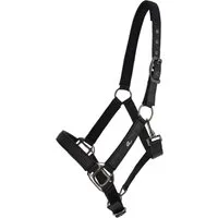 QHP Halfter Glitter, schwarz - COB