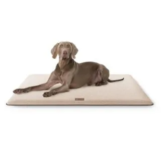 Knuffelwuff kuschelige Hundematte Calliope aus Teddy Material beige M-L