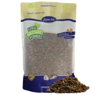 Lyra Pet Heimchen getrocknet 1 kg