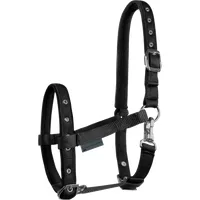 Waldhausen Fohlenhalfter Comfort - schwarz