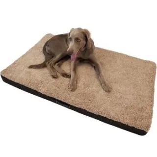 Petsation BENJI orthopädisch Hundebett Hundekissen XL