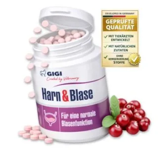 GIGI VET Harn & Blase 90 Stück
