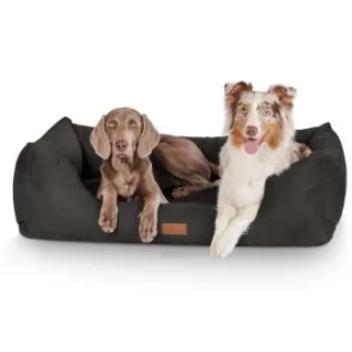 Knuffelwuff Hundebett Dreamline aus Velours schwarz XXL