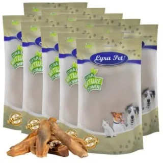 Lyra Pet Rinderkopfhaut goldbraun dunkel