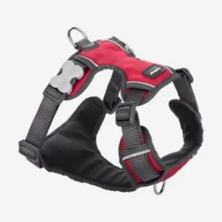 Red Dingo Geschirr Gepolstert XL rot