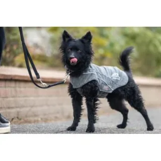 Wolters Fleecejacke Dogz-Wear, Hundejacke grau 30 cm