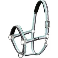 ESKADRON Halfter Pin Buckle VB - ice-white-stone