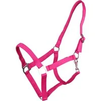 QHP Halfter mit Schiebeschnalle Fuchsia - Shetty