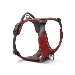 Wolters Active Pro Comfort Hundegeschirr anthrazit/ rot XS
