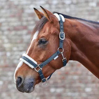 Variante