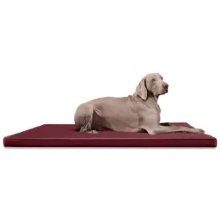 Tierlando CARLOS Ortho-Medic - Orthopädische Hundematte dunkelrot 1 m, 6 cm, 80 cm