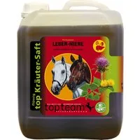 topteam top Leber-Niere Kräutersaft - 2,50 l