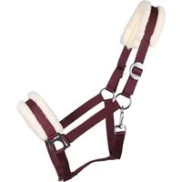 QHP Halfter Cali, bordeaux - Pony