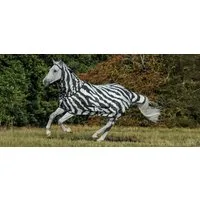 Bucas Buzz-Off Zebra Full Neck zebra - 140 cm