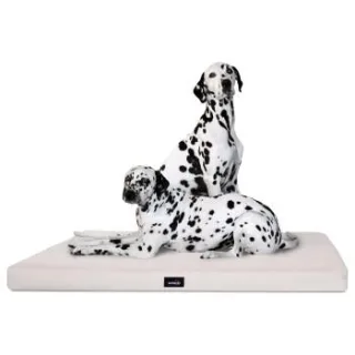 Tierlando ALICE VISCO - Orthopädische Hundematte creme 80 cm, 9 cm, 60 cm