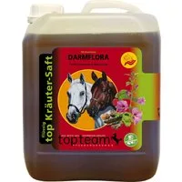topteam top Darmflora Kräutersaft - 2,50 l