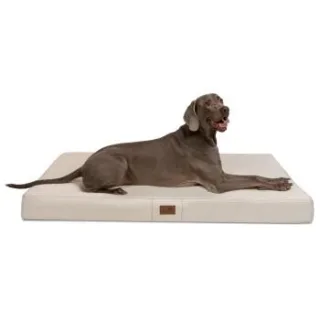 Tierlando HUGO BASIC Hundematratze creme 80 cm, 13 cm, 60 cm