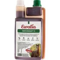 Ewalia Nervensaft II - 1 l