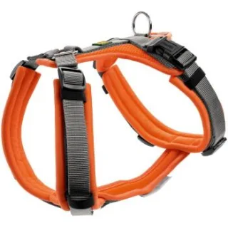 Hunter Geschirr Maldon Up orange XS-S