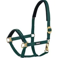 ESKADRON Halfter WB - racinggreen