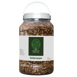 Insektus Seidenraupen 5L.